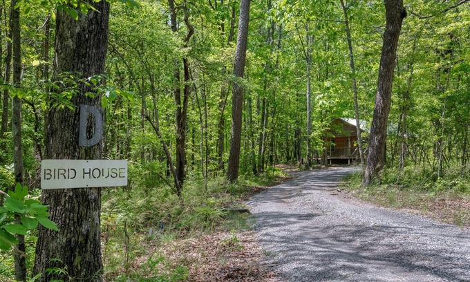 Fort Payne Cabin | Bird House-woodsy getaway w/hot tub & fire pit