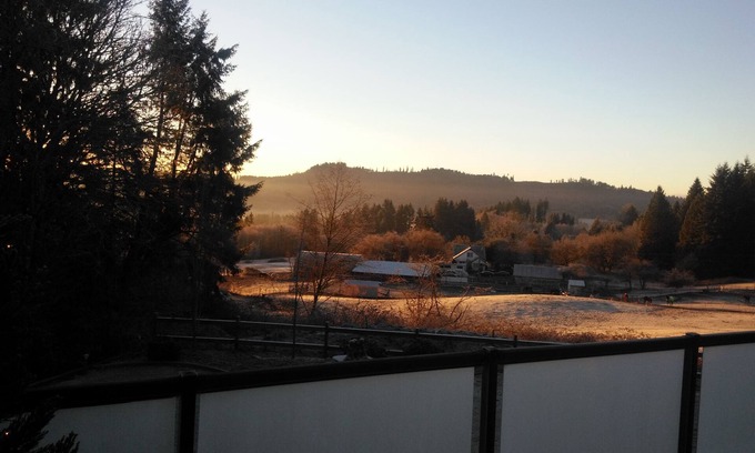 Woodland Apartment | Bird Lover’s Paradise