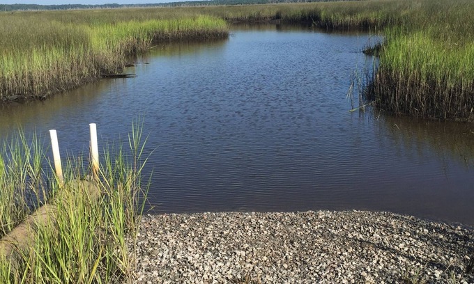 Ravenel House | BIRDS of FLIGHT