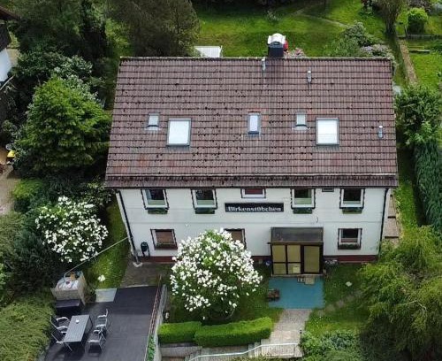 Lautenthal Apartment | Birkenstübchen