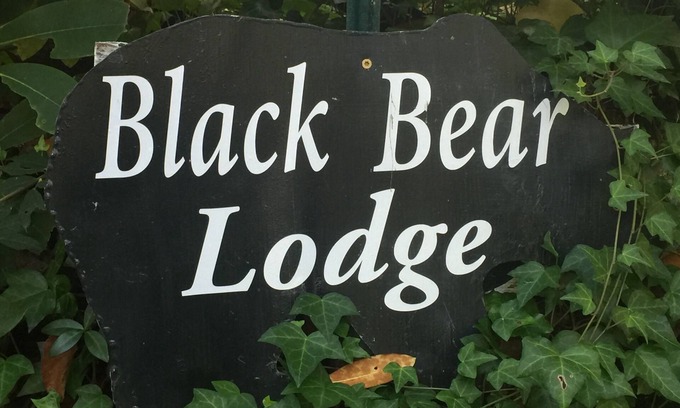 Candler Cottage | Black Bear Lodge- Creekside, Mountain Seclusion! Fall is near! Book Now!