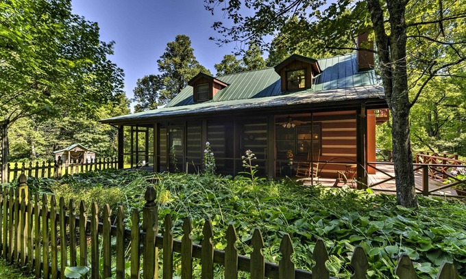 Black Mountain Cabin | Black Mountain Cabin w/Screened Porch + Views!