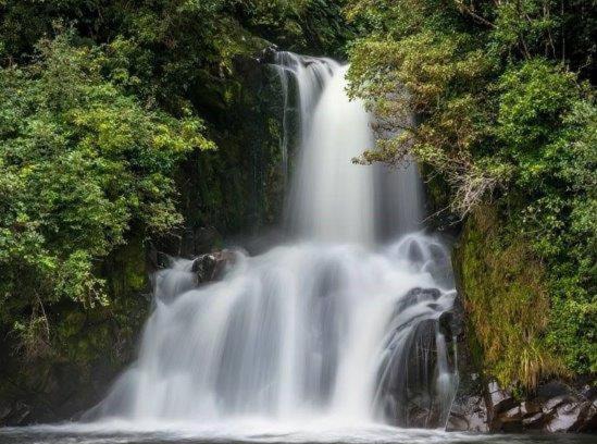 Waimiha Hotel | Blackfern Lodge