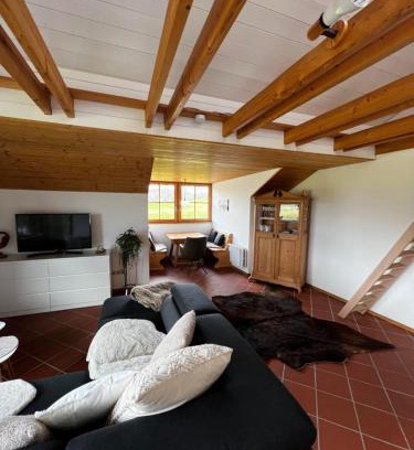 Stein House | Blick Falkenstein