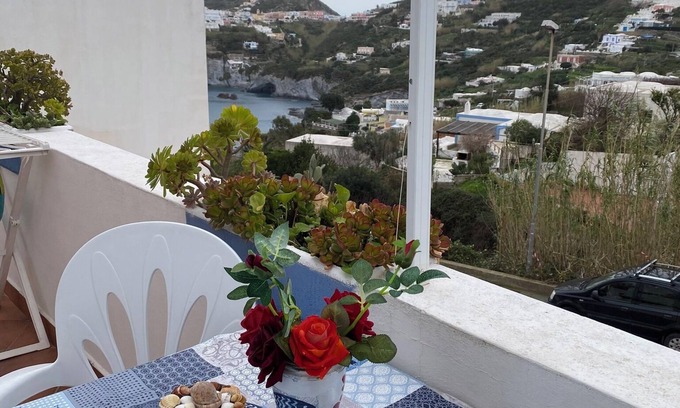 Ponza Apartment | Blue Jellyfish Ponzamania