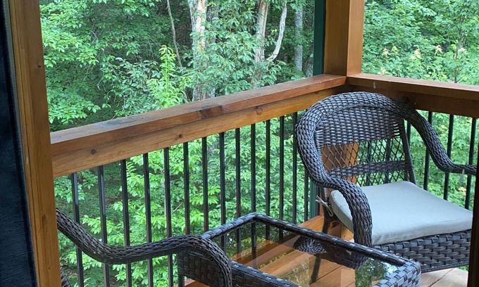 Morganton House | Blue Mountain Heaven sleeps up to 9 people SPRING SALE!