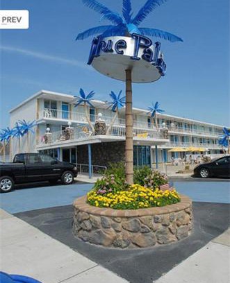 Wildwood Hotel | Blue Palms Resort