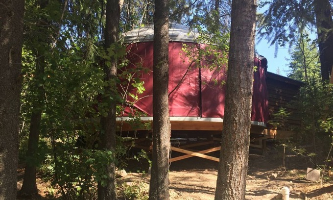 Coram Cabin | Blue yurt, out in the woods! Unplugged, you are out in nature away from it all.