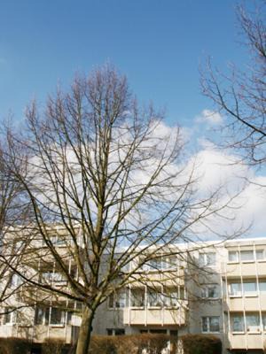 Celle Apartment | Boarding House "Herzogpark Celle"