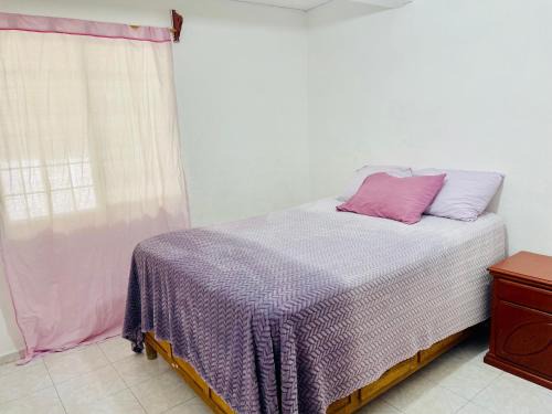 Aguascalientes House | Boogirl