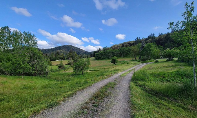 Talent House | BookStayHop -Celestial Compound ~ with Outdoor Space and Mountain Views.