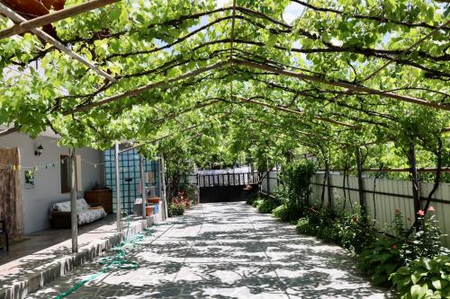 Borjomi House | borjomi wood edge