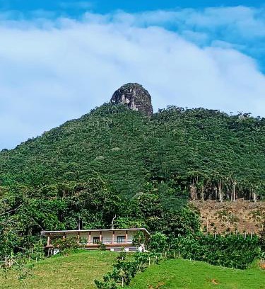 San Carlos House | Bosque Místico