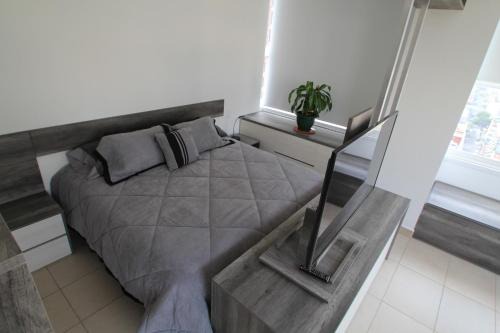 Colonia Centro Apartment | Boutique Apartment Downtown 1506