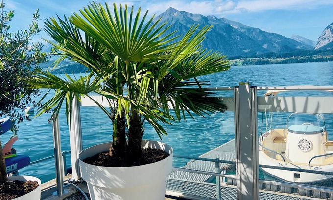 Oberhofen am Thunersee Hotel | Boutique Hotel Niesenblick Self Check In