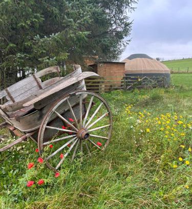 Kirkmichael Other | Bracken Barns Glamping & Massage