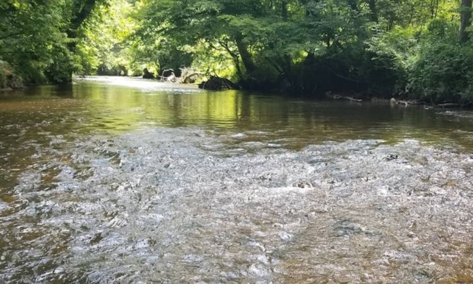 Suches House | Brand New-1 Bedroom Condo right on the Toccoa River