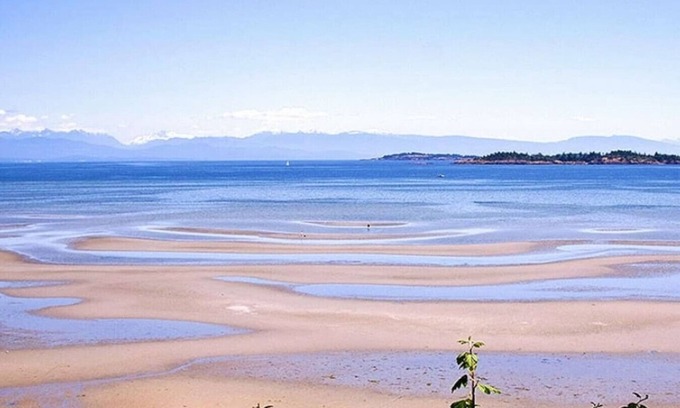 Regional District of Nanaimo Apartment | Breathe Deep. Sleep Easy. Stay Oceanside