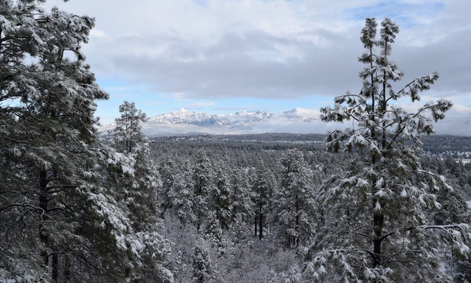 Pagosa Springs House | Breathtaking Panoramic Views, 5 Bedroom, 3 Level Home Close to Town on 5 Acres