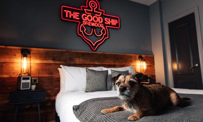 Central Aberdeen Hotel | BrewDog Kennels - Aberdeen