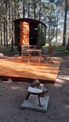 Middlemarsh Other | Bridgewood Camping - Traditional Shepherd's Hut