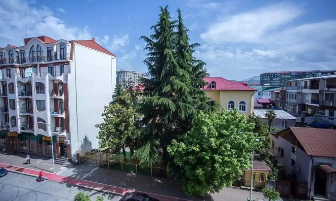 Old Boulevard Apartment | Bright and airy apartment N8B