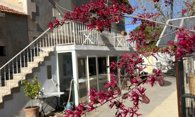 L'Isle-sur-la-Sorgue Apartment | "Bright apartment with pool and spa"