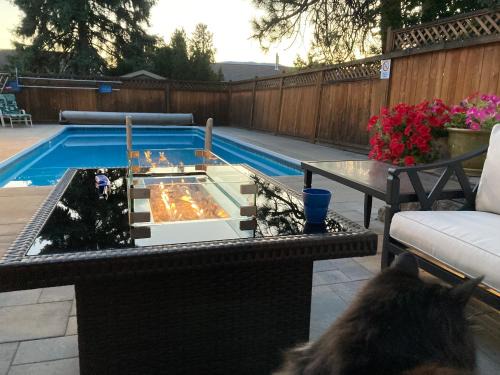 Okanagan-Similkameen Apartment | Bright poolside walkout two bedroom basement suite in the Okanagan