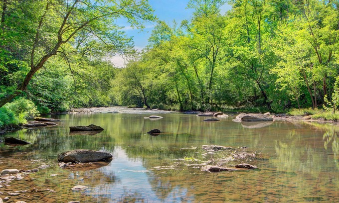Lake Lure Cabin | Broad River Roost - Dog Friendly Cabin With Riverfront Fire Pit