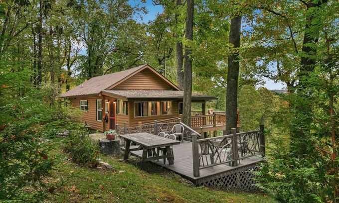 Brevard Cabin | Buck's Cabin near Brevard, NC Dog Friendly Wood stove, mtn views in forest.