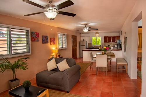 Colonia Adolfo Lopez Mateos Apartment | Budgies