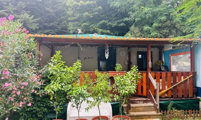 Ameglia House | Bungalow 'Stefy- Ameglia' with Shared Pool, Shared Garden and Air Conditioning