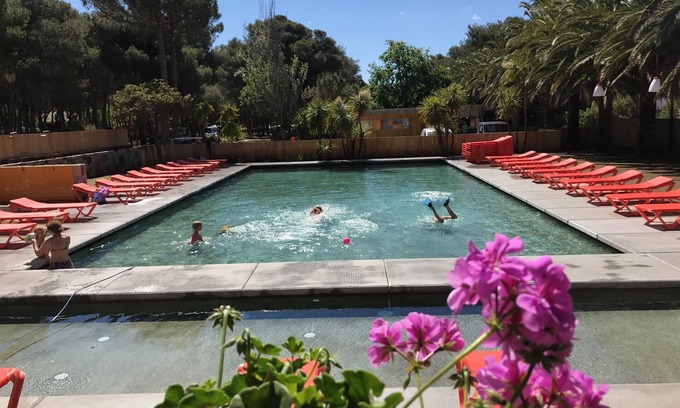 Olmeto House | Bungalows and Caravan Seaside and Pool