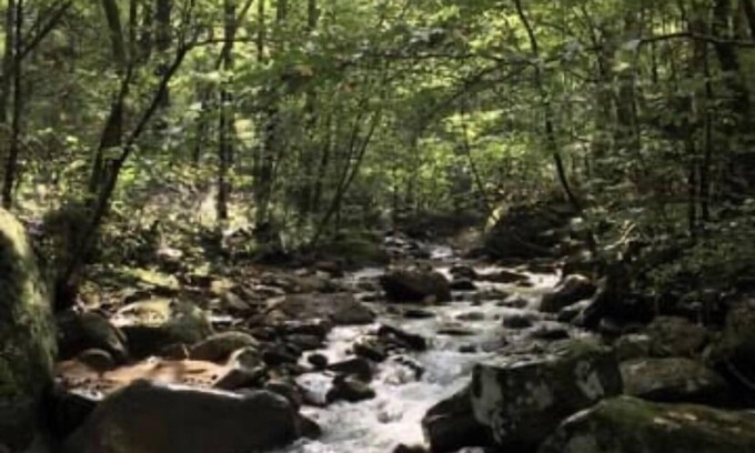 Cosby House | Bunkhouse at English Mountain-Unlimited creek access-Farm Views