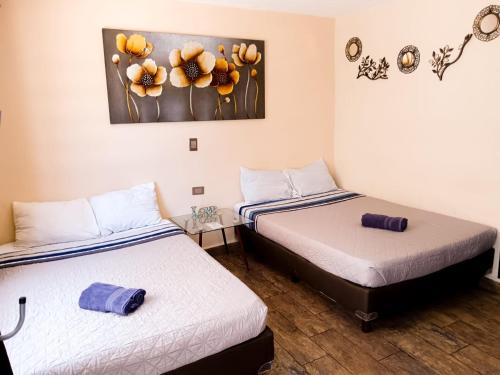 Durango House | Cómoda y acogedora suite, Paseo Durango