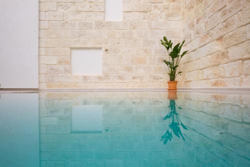 Santa Margalida Hotel | Ca Sa Pagesa - Adults only