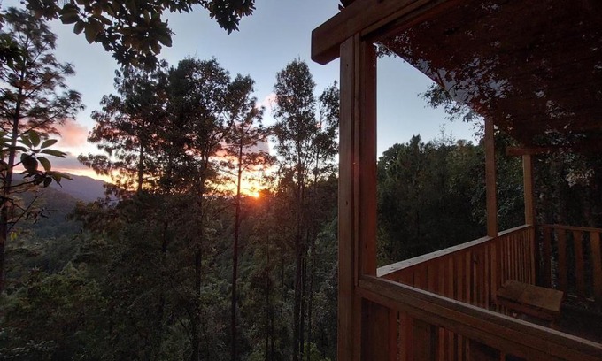San Jose del Pacifico Ski Chalet | Cabaña en el Bosque de San José del Pacífico