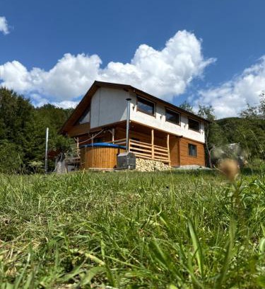 Viseu de Jos House | Cabana Arini 1954