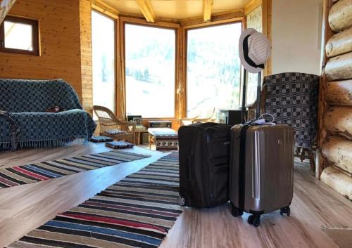 Vama Ski Chalet | Cabana cu hamac