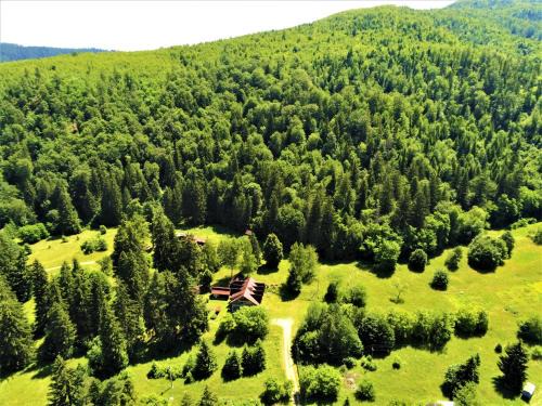 Darmanesti House | Cabana DUCA
