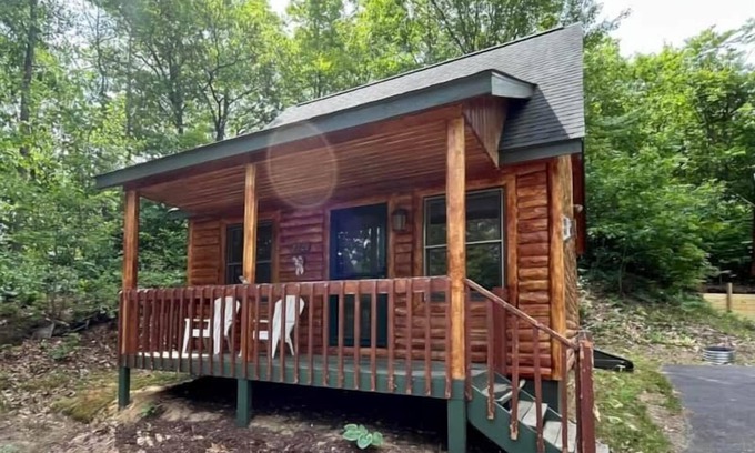 Gaylord House | Cabin 2321 - Small Log Cabin within Private Resort