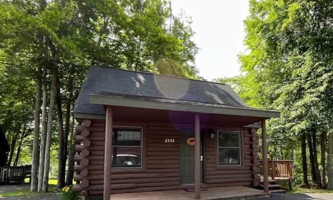 Gaylord House | Cabin 2353 - Little Log Cabin within Private Resort