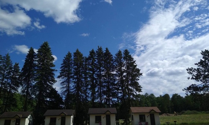 Cadillac Cabin | Cabin #9 -" Flag-up "