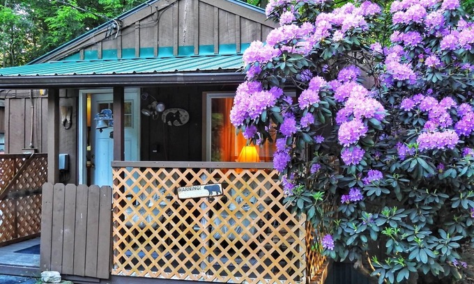 Dushore Cabin | Cabin close to Ricketts Glen and State Parks!