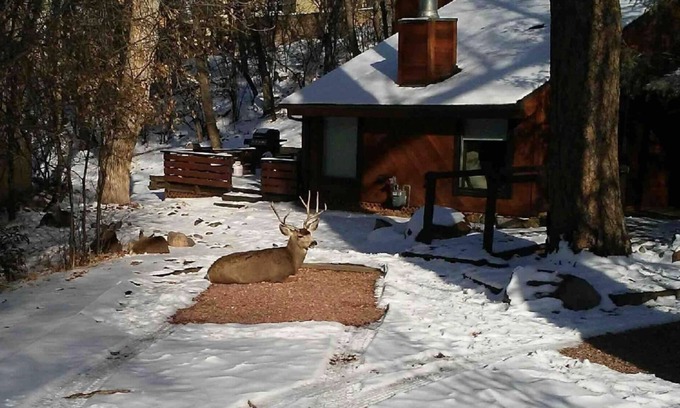 Broadmoor House | Cabin in the woods next to the Broadmoor and crazy close to trailheads