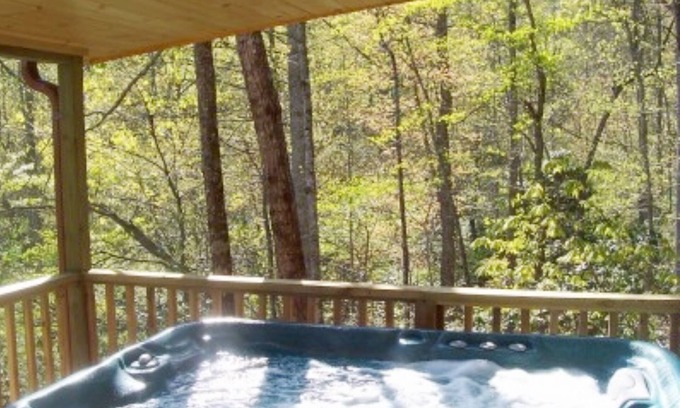 Hendersonville Cabin | Cabin on the Hill-Peaceful 1BR 20-Acre Rural Retreat-HotTub&WiFi near Asheville