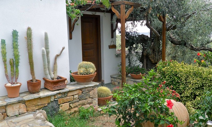 Steni Vala House | CACTUS - Flower Houses in Alonissos island