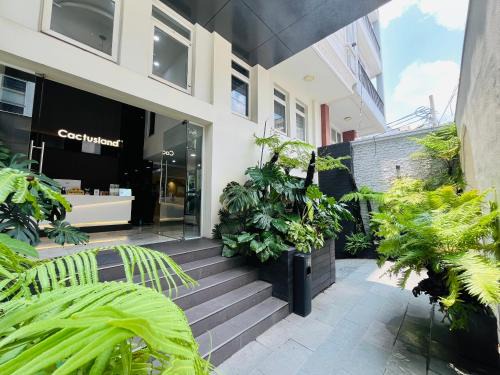 Ba Queo Hotel | Cactusland Hotel Tan Binh Near T3 Station
