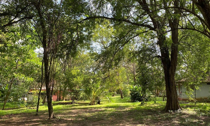 Tangalle Resort | Calm Garden Cabanas
