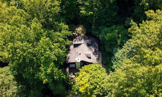 Sylva House | Calming Tree House - Pet Friendly Mountain Hideaway
